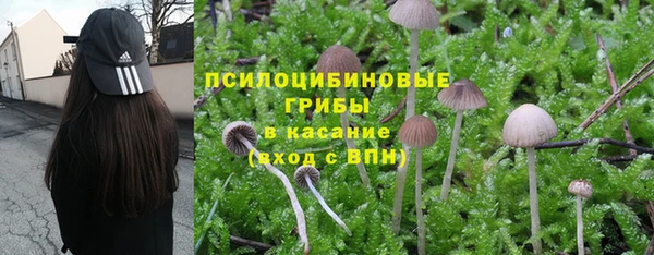 амф Нефтегорск