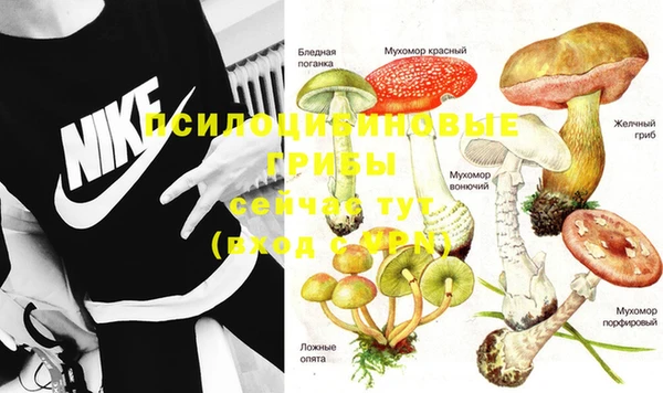 стафф Нефтекумск
