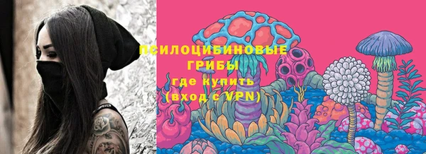 ПСИЛОЦИБИНОВЫЕ ГРИБЫ Наволоки